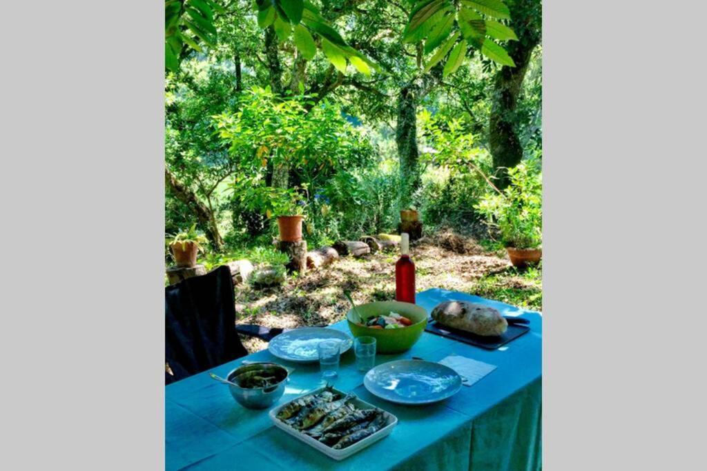 Quinta Biologica, Com Vista, Na Serra De סינטרה מראה חיצוני תמונה