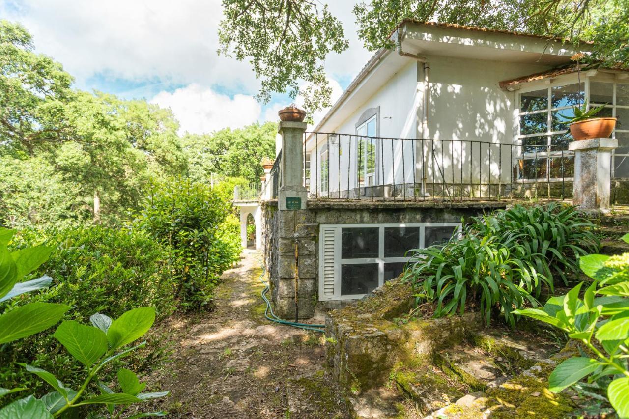 Quinta Biologica, Com Vista, Na Serra De סינטרה מראה חיצוני תמונה