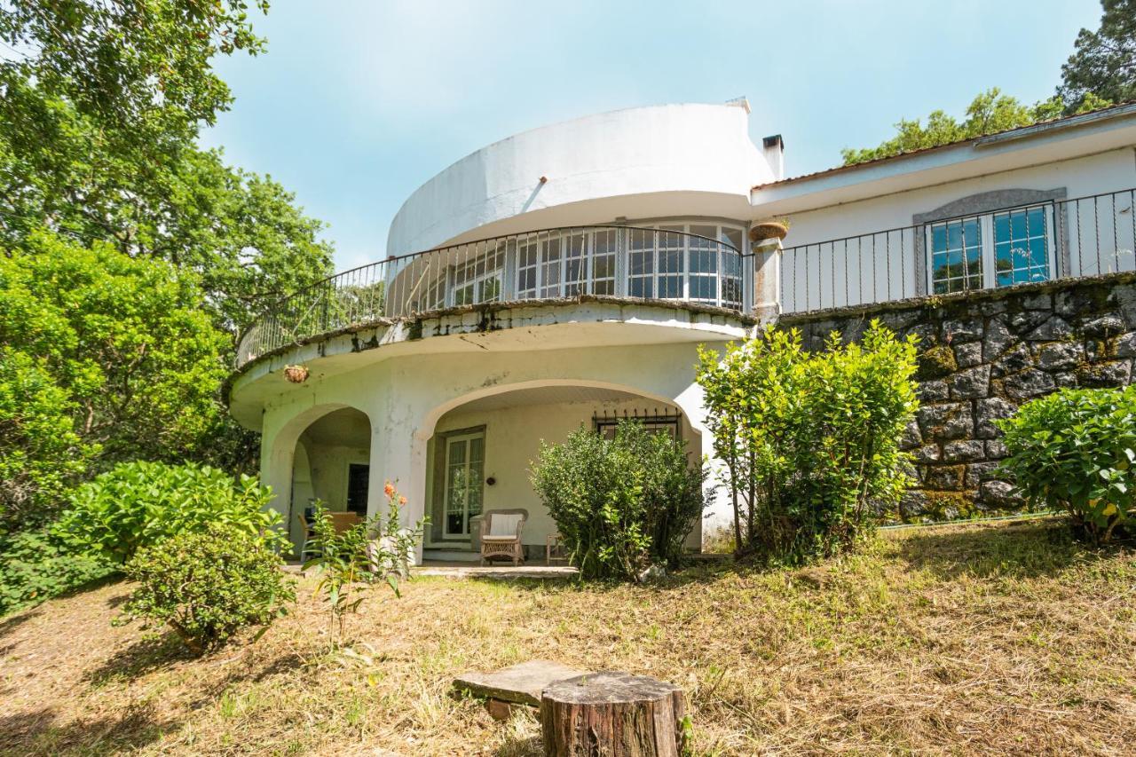 Quinta Biologica, Com Vista, Na Serra De סינטרה מראה חיצוני תמונה