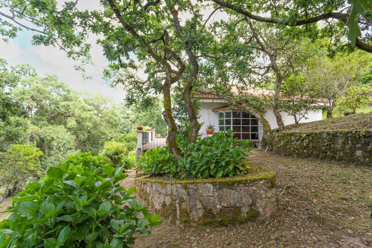 Quinta Biologica, Com Vista, Na Serra De סינטרה מראה חיצוני תמונה